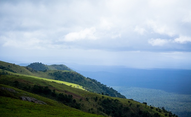 互联网企业 互联网企业